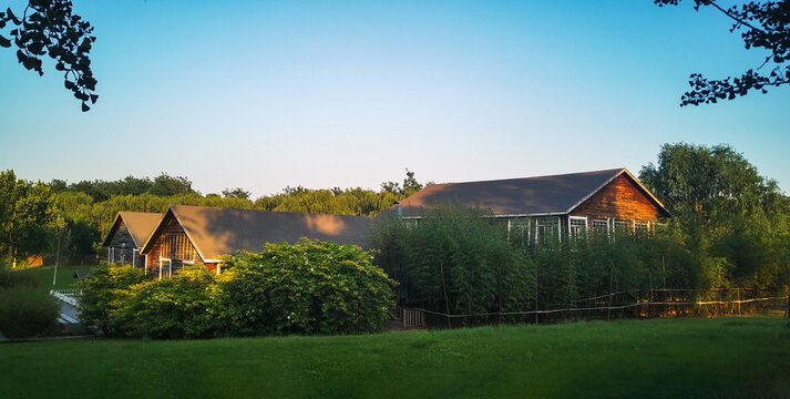 B&B Amidst the Greenery