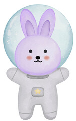 rabbit in space