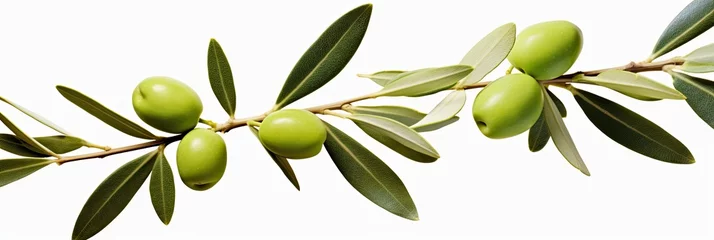 Foto op Plexiglas Olive tree branch, green olives and leaves on white background. © MSTASMA