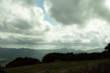 Obraz premium clouds over the forest