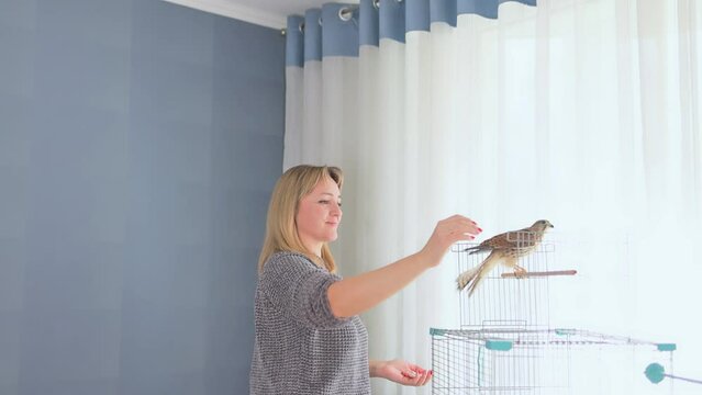 Training a wild bird, a woman holds a falcon on her hand.
