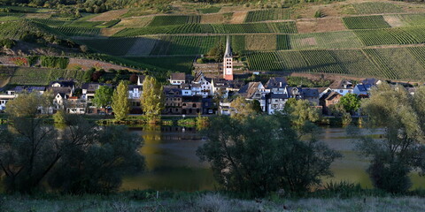 Weinort Zell-Merl, Deutschland 
