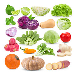 Bergamot; Iceberg; mint; cabbage; lettuce; butternut; Bok choy; cos; onion; Small garden radish; pepper; tomato; ginger; Pumpkin; yam; potato on transparent png
