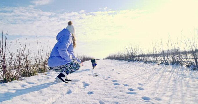 A behaviorist teaches a dog effective outdoor recall.