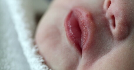 Fototapeta premium closeup of newborn baby mouth in macro