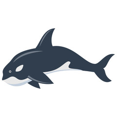 Killer whale outline vector illustration.Hand drawn killer whale.Underwater fish.Marine life.Isolated on white background.