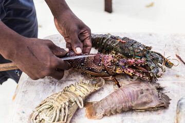 Close up of chef's hands cleaning raw seafood for cooking, Zanzibar, Tanzania. Raw fresh lobster and cray fish cutting.