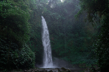 Tropical waterfall in Asia in the wild jungle on the island of Bali