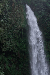 Obraz premium Tropical waterfall in Asia in the wild jungle on the island of Bali