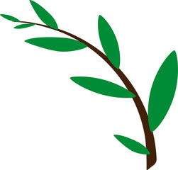 green leaves isolated on white background