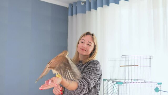 Training a wild bird, a woman holds a falcon on her hand.