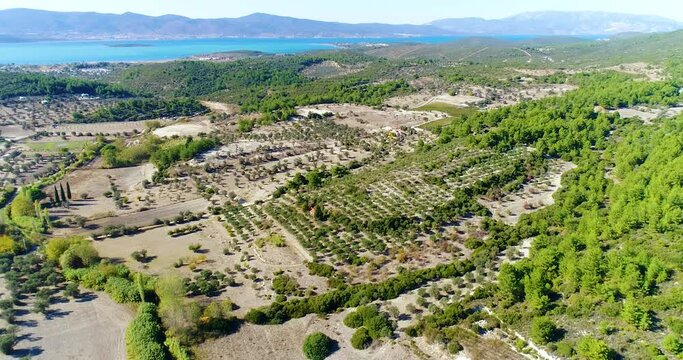 Urla drone shooting, drone view of sea, garden and plots, view of vineyards, Urla, Izmir - Turkey
