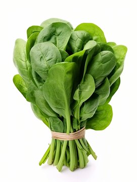 Bunch Of Spinach Isolated On White Background.