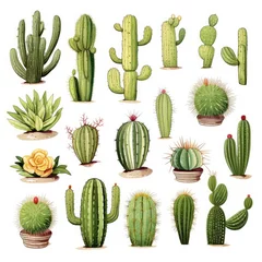 Meubelstickers Cactus The Cactus set on white background. Clipart illustrations.