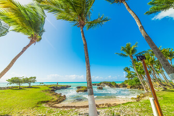 Palm trees and blue sea in Bas du Fort beach