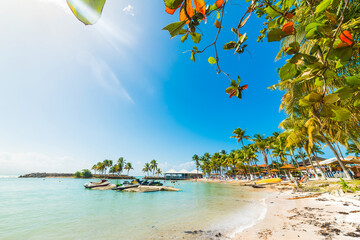 Colorful shore in Bas du Fort beach in Guadeloupe