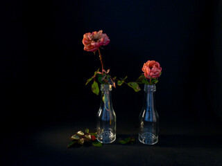 flower in vase