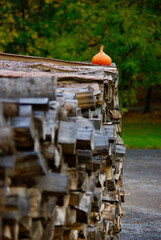 A small orange pumpkin on top of a woodpile outdoors in autumn. 