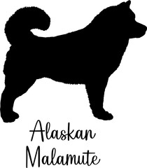 Alaskan Malamute Dog silhouette Dog breed vector