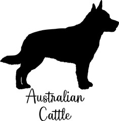 Australian Cattle Dog silhouette Dog breed vector