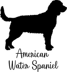 American Water Spaniel Dog silhouette Dog breed vector