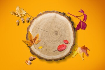Podium wood saw cut with autumn leaves.
