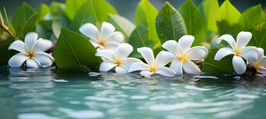 Gordijnen Plumeria flowers on green leaf floating on water. A peaceful and serene scene with a touch of nature and beauty. © MDBaki