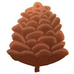 pine cone