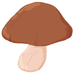 mushroom4