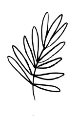 Black and white silhouette of leaf. Hand drawn illustration. Herbal decor element.