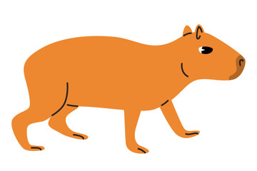 Capybara cartoon illustration isolated on white background. Cute capybara walks. South American animal sticker. Vector flat illustration isolated on white background.