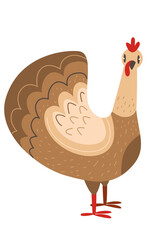 Cute cartoon turkey. Thanksgiving decoration. Domestic bird isolated on white background.