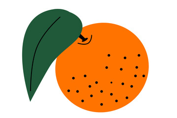 Cartoon orange. Juice citrus plant graphics for printing or packaging. Citrus garnish vector illustration. Winter theme element.