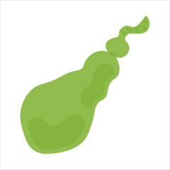 Human gall bladder on white background