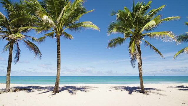 Paradise beach palm trees blue sky background. Tranquil sunny scene holiday vacation tropical island seascape. Text Space area. No people.