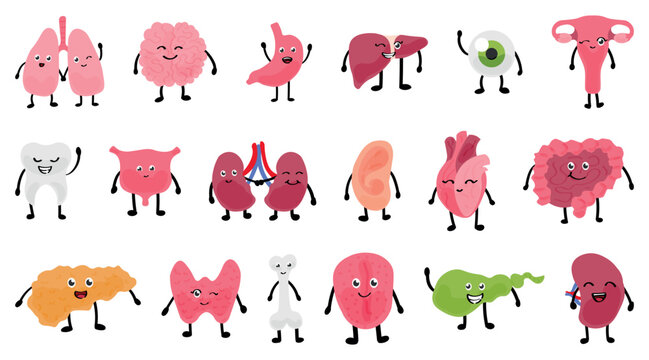 Set of different cute human organs and body parts on white background