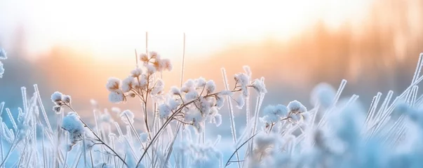 Fotobehang Frozen snowy grass, winter natural abstract background. beautiful winter landscape. © Md