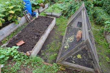 how to prepare a raised wooden bed to grow in the backyard garden. mobile chicken coop on a raised bed urban agriculture