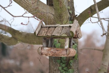 A Bird feeder on a tree