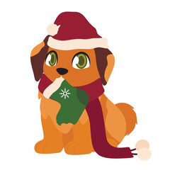 Cute puppy with Christmas sock on white background