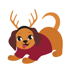 Cute puppy in Christmas sweater and deer horns on white background