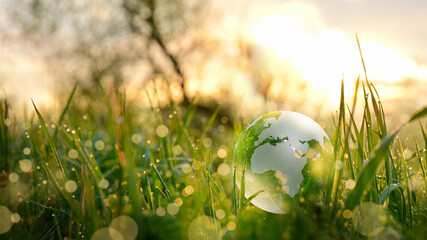 Glass globe new year earth ball and grass environment, save a clean planet, ecology globe europe....