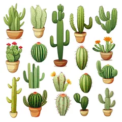Fotobehang Cactus The Cactus set on white background. Clipart illustrations.