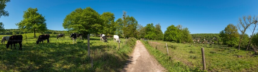 paysage de la vallée de Chevreuse