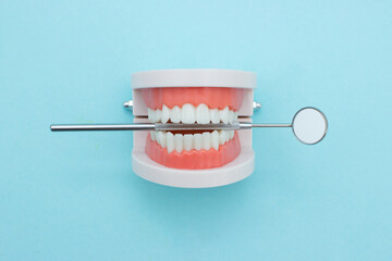 Dental Teeth Model dentures with dentist mouth mirror on blue background. Dental concept. False teeth, jaws. Dentistry conceptual photo.