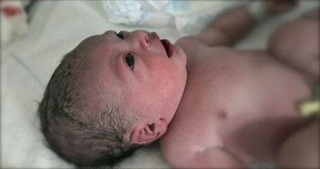 Infant baby newborn after birth