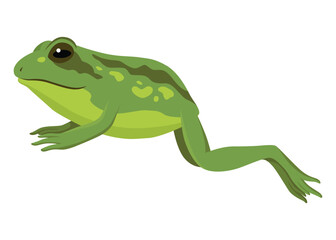 Frog jumping animation icon. Sequences or footage for motion design. Cartoon toad jumping, animal movement concept. Frog leap sequence, vector illustration