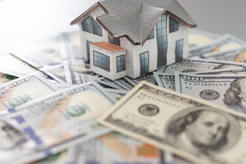 House on the dollars backdrop, 3D rendering