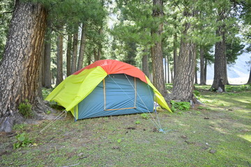 camping in the forest
