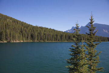 Beautiful view of Two Jake Lake in Banff National Park in Canada - obrazy, fototapety, plakaty